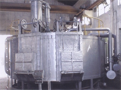 �D(zhu��n)��ʽȼ?x��)�ģ�������t